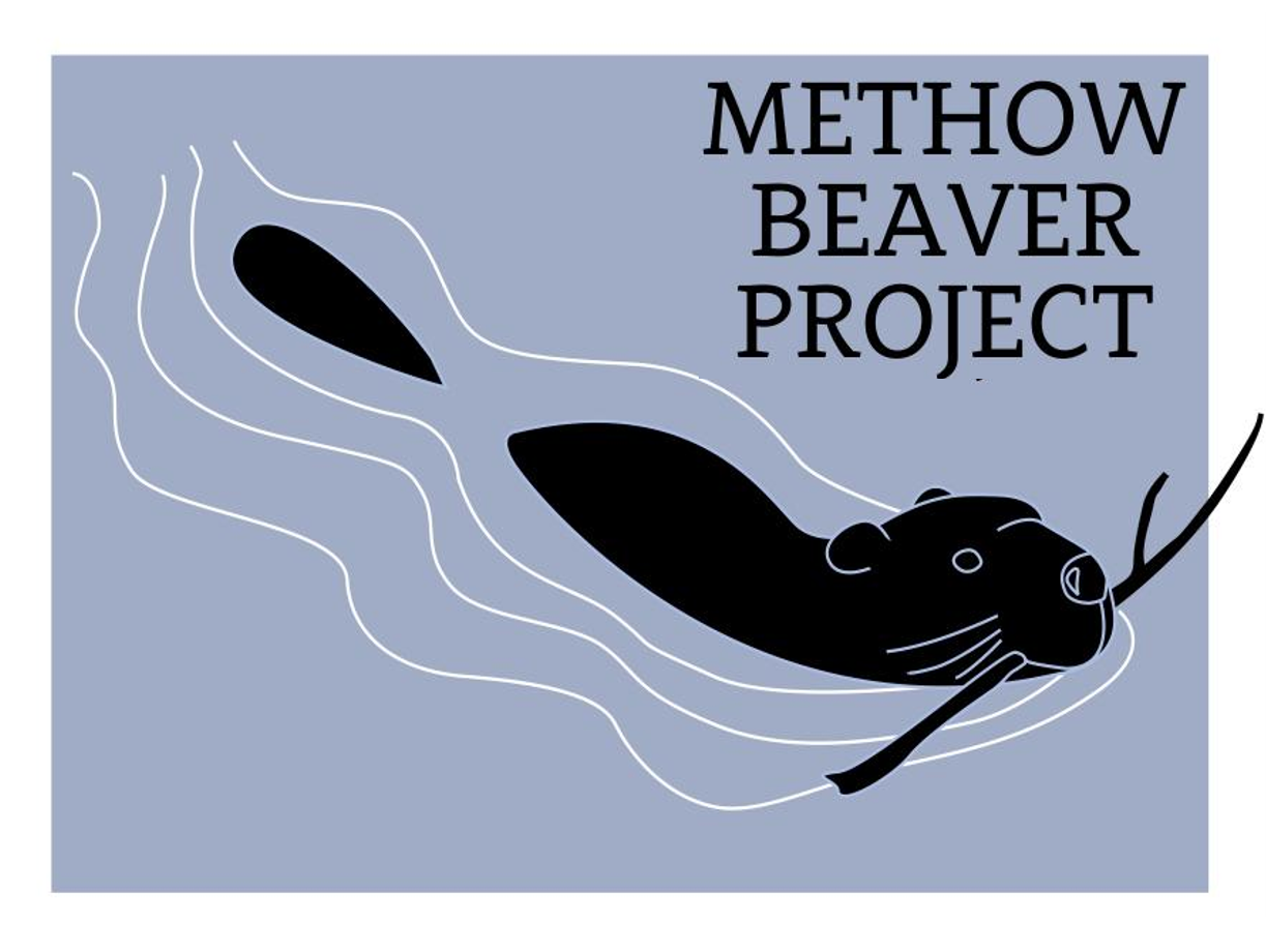 Methow Beaver Project