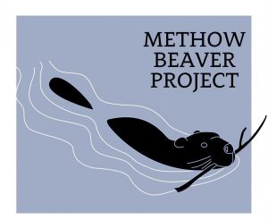 Methow Beaver Project