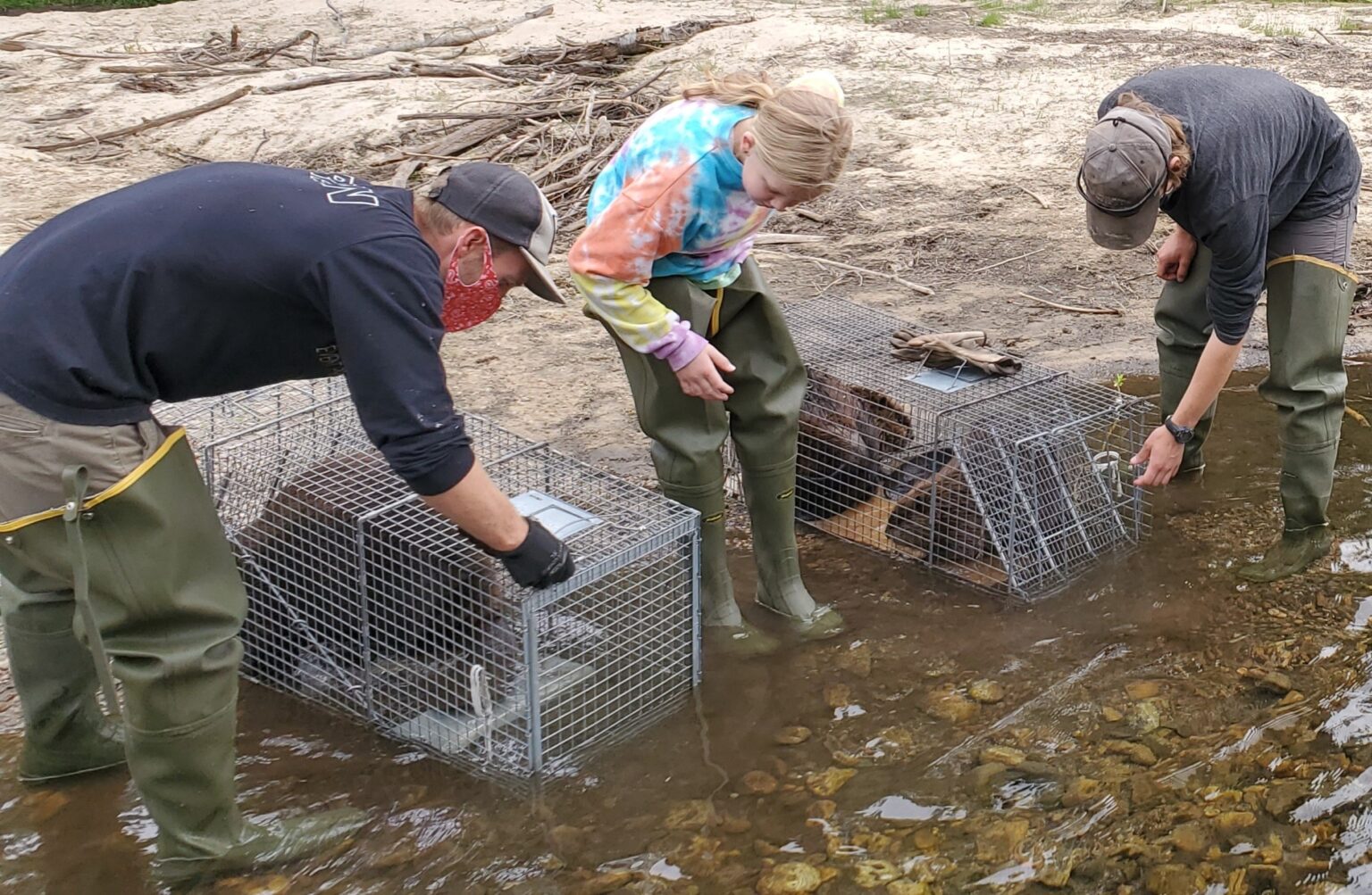 2023 Beaver Conservation & Beaver-based Restoration Workshops – Methow ...