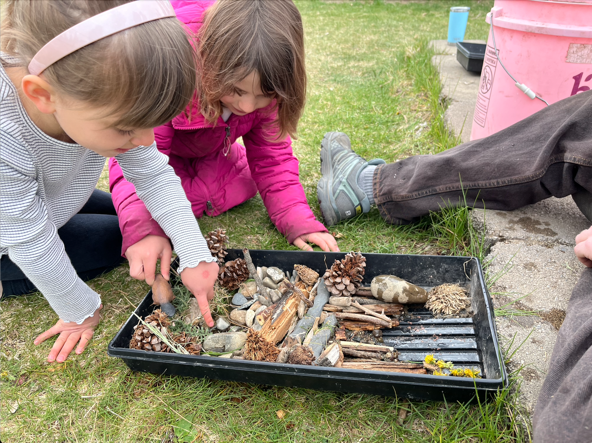 Education and Outreach – Methow Beaver Project